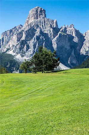 dolomiti summer - lawn, tree and mountain Sassongher - Dolomiti, Italy Stock Photo - Budget Royalty-Free & Subscription, Code: 400-06644477