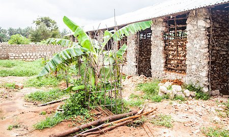 scarcity - Kenya, Malindi city. Detail of traditional technique for building poor houses Stock Photo - Budget Royalty-Free & Subscription, Code: 400-06640124