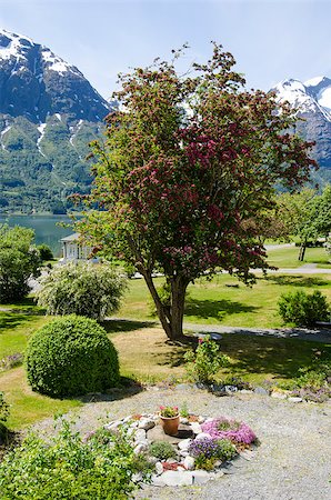 Norway Hellesylt - Geiranger North Europe travel destination Stock Photo - Budget Royalty-Free & Subscription, Code: 400-06642440