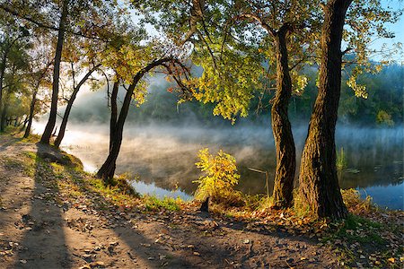 sun stream - The autumn wood on the river bank, shined with the sun, fog over water, outdoors Foto de stock - Super Valor sin royalties y Suscripción, Código: 400-06642563