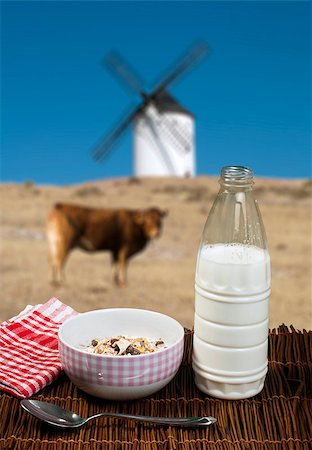 simsearch:400-04891088,k - Muesli breakfast in a bow, spoon and milk. Cow and mill on the background Stock Photo - Budget Royalty-Free & Subscription, Code: 400-06642935