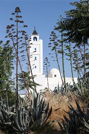 Minaret of Sidi Bou Said Mosque in local traditional colours. Photo taken in suburb of Tunis - capital city of Tunisia Stock Photo - Budget Royalty-Free & Subscription, Code: 400-06643313