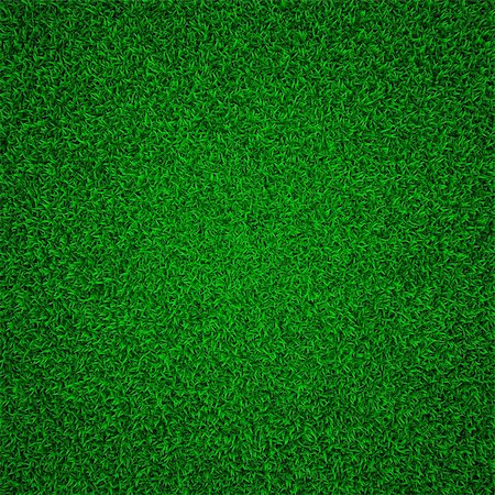 Green Grass Background 3D Render. Stock Photo - Budget Royalty-Free & Subscription, Code: 400-06643396