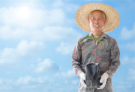 Asian Chinese farmer holding a young plant under hot summer sun Stock Photo - Budget Royalty-Free & Subscription, Code: 400-06643516