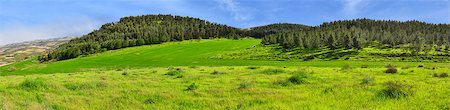 Panorama: hills, forest and green fields. Stockbilder - Microstock & Abonnement, Bildnummer: 400-06643846