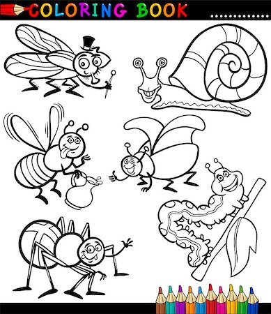 simsearch:400-06408830,k - Black and White Coloring Book or Page Cartoon Illustration Set of Funny Insects and Bugs for Children Stock Photo - Budget Royalty-Free & Subscription, Code: 400-06686717
