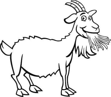 simsearch:400-06851707,k - Black and White Cartoon Illustration of Funny Goat Farm Animal for Coloring Book Stock Photo - Budget Royalty-Free & Subscription, Code: 400-06686742