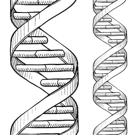 Doodle style DNA double helix seamless vector background or border. Fotografie stock - Microstock e Abbonamento, Codice: 400-06694700