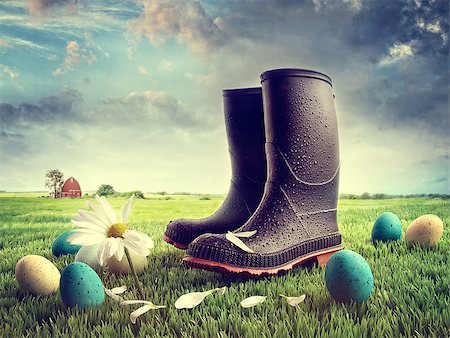rubber farm boots - Rubber boots with easter eggs on grass in field Stock Photo - Budget Royalty-Free & Subscription, Code: 400-06695279