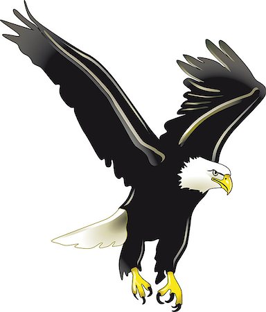 eagle images clip art - eagle Stock Photo - Budget Royalty-Free & Subscription, Code: 400-06695788