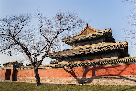 simsearch:845-02726565,k - Chinese temple behind a red wall with the shadow of a tree. Fotografie stock - Microstock e Abbonamento, Codice: 400-06696027