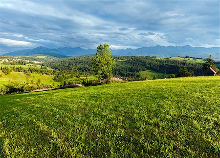 Summer evening mountain village outskirts with Tatra range behind(Gliczarow Gorny, Poland) Stock Photo - Budget Royalty-Free & Subscription, Code: 400-06696240