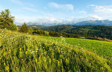 simsearch:400-05291390,k - Summer evening mountain village outskirts with blossoming field and Tatra range behind(Gliczarow Gorny, Poland) Stock Photo - Budget Royalty-Free & Subscription, Code: 400-06696242