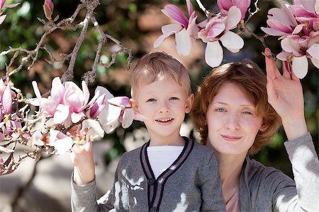 adorable little boy with his mother by a blooming magnolia tree Stock Photo - Budget Royalty-Free & Subscription, Code: 400-06696873