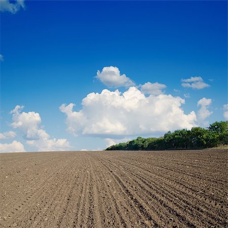 black plowed field under blue sky Stockbilder - Microstock & Abonnement, Bildnummer: 400-06696978