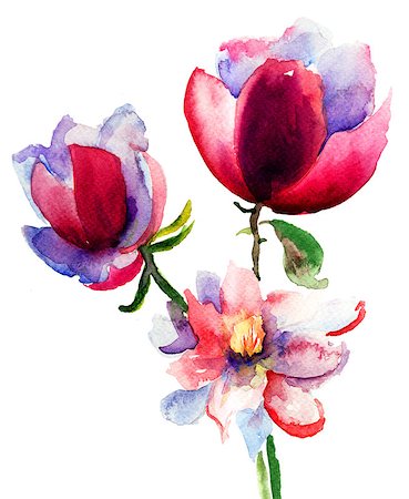 simsearch:400-06202782,k - Watercolor illustration with beautiful flowers Stock Photo - Budget Royalty-Free & Subscription, Code: 400-06698689