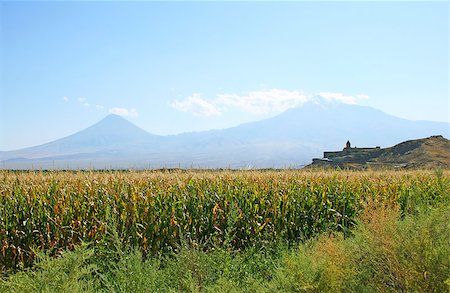 simsearch:400-06696238,k - Ancient Khor Virap church and mountain Ararat, Armenia. Fotografie stock - Microstock e Abbonamento, Codice: 400-06699784