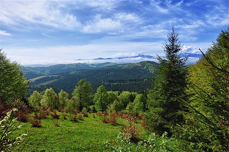 simsearch:400-07245923,k - A beautiful summer mountain landscape - the Carpathians Stock Photo - Budget Royalty-Free & Subscription, Code: 400-06692952