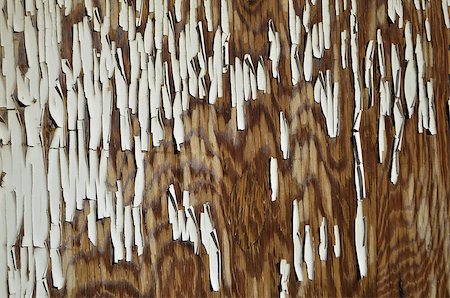 simsearch:400-06869842,k - Distressed white paint on wood Stock Photo - Budget Royalty-Free & Subscription, Code: 400-06693548