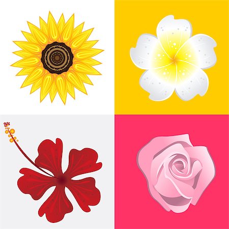 escova (artist) - Blossom Of Rose, Jasmine, Sunflower And Hibiscus Flower. Stockbilder - Microstock & Abonnement, Bildnummer: 400-06693783