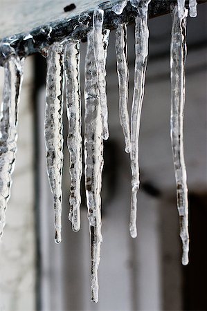 icicles which are hanging down from a roof. Foto de stock - Super Valor sin royalties y Suscripción, Código: 400-06700522