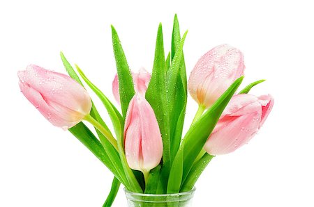 simsearch:400-08011304,k - Bunch of 5 Beautiful Spring Pink Tulips with Droplets in Glass Vase isolated on white background Stock Photo - Budget Royalty-Free & Subscription, Code: 400-06700699