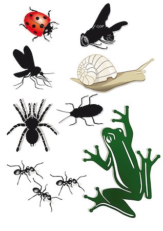 Creepy Crawlies Stock Photo - Budget Royalty-Free & Subscription, Code: 400-06700845