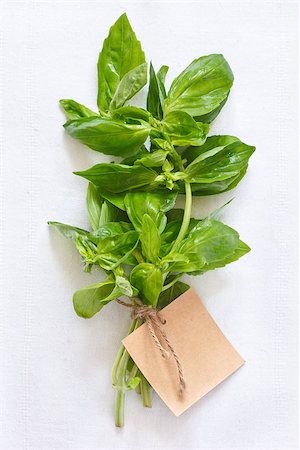 simsearch:400-05678242,k - Fresh green basil leaves on a white cloth with a label. Foto de stock - Super Valor sin royalties y Suscripción, Código: 400-06700967