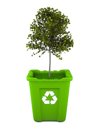 Paper recycling concept with Italian Maple tree growing from green recycle bin Stock Photo - Budget Royalty-Free & Subscription, Code: 400-06735714