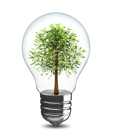 recycle energy conservation - 3d illustration of light bulb with tree inside Stock Photo - Budget Royalty-Free & Subscription, Code: 400-06736089