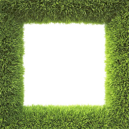 simsearch:400-06698913,k - frame made of green grass Foto de stock - Super Valor sin royalties y Suscripción, Código: 400-06736914