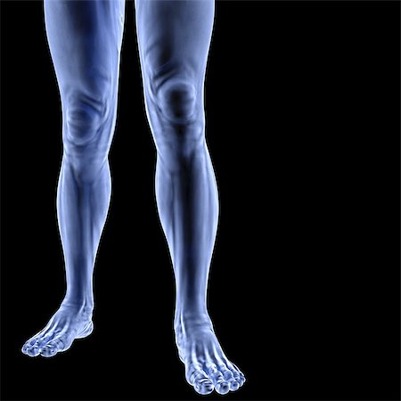 Human feet under X-rays. isolated on black. Stock Photo - Budget Royalty-Free & Subscription, Code: 400-06736967