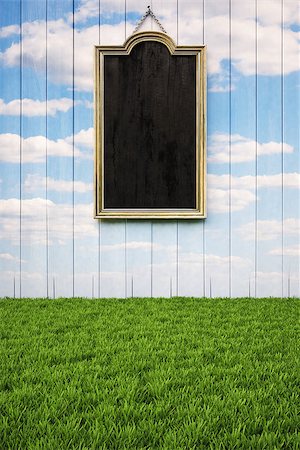empty interior with floor from the green grass and empty picture frames on the wall. Stock Photo - Budget Royalty-Free & Subscription, Code: 400-06736994