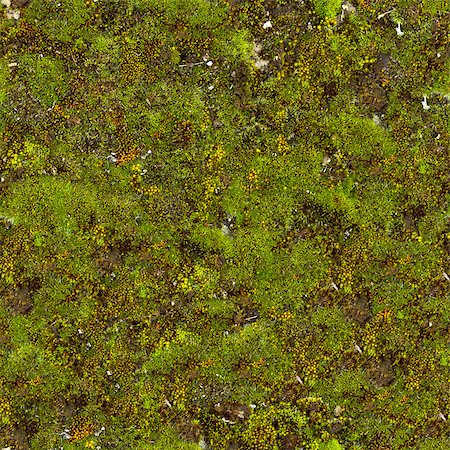 Green Moss. Seamless Tileable Texture. Stock Photo - Budget Royalty-Free & Subscription, Code: 400-06737369