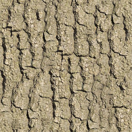 simsearch:400-07619334,k - Bark of Old Oak Seamless Tileable Texture. Stock Photo - Budget Royalty-Free & Subscription, Code: 400-06737377