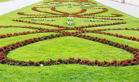 simsearch:400-06633565,k - Blossoming red flower on lawn in summer city park Fotografie stock - Microstock e Abbonamento, Codice: 400-06737443