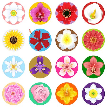 escova (artist) - Collection Set of Beautiful Flowers.   Useful As Icon, Illustration And Background For Floral Theme. Stock Photo - Budget Royalty-Free & Subscription, Code: 400-06737777