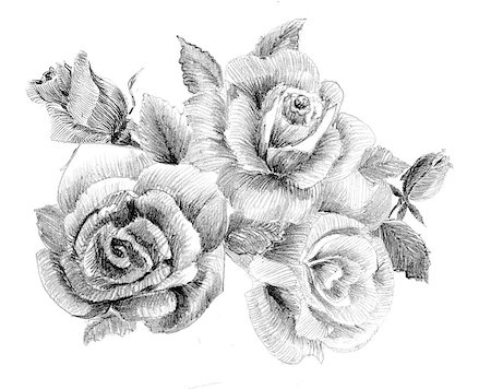 simsearch:400-08572511,k - Flower sketch  bouquet hand drawing Photographie de stock - Aubaine LD & Abonnement, Code: 400-06738230