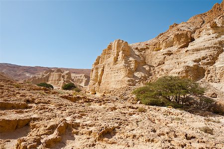 simsearch:400-06480178,k - Canyon in the Judean Desert on the West Bank Stock Photo - Budget Royalty-Free & Subscription, Code: 400-06738830