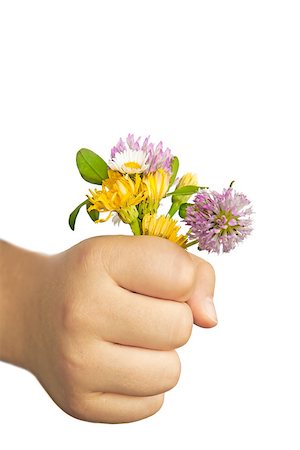 Child hand holding flowers isolated on white. Useful as spring or mother's day greeting card. Clipping path included. Stock Photo - Budget Royalty-Free & Subscription, Code: 400-06738923