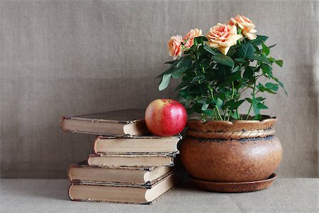 simsearch:400-06772771,k - Still life with old books and potted roses on canvas background Photographie de stock - Aubaine LD & Abonnement, Code: 400-06739267