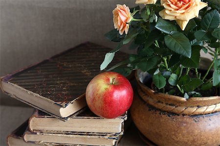 simsearch:400-06772771,k - Still life with apple on old books near flowerpot with roses Photographie de stock - Aubaine LD & Abonnement, Code: 400-06739268