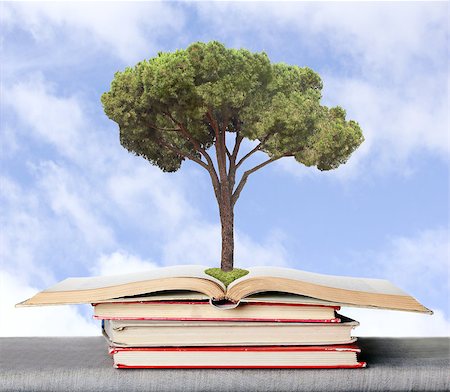 pine tree one not snow not people - Concept, symbolizing the germs of the knowledge obtained from books. Also it may be eco concept s Stock Photo - Budget Royalty-Free & Subscription, Code: 400-06744163