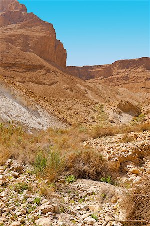 Canyon in the Judean Desert on the West Bank Stock Photo - Budget Royalty-Free & Subscription, Code: 400-06744863