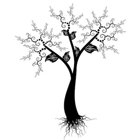 Beautiful art tree isolated on white background Stock Photo - Budget Royalty-Free & Subscription, Code: 400-06745005