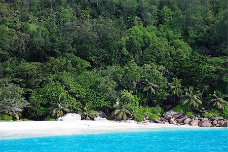 simsearch:851-02962649,k - beach of silhouette island in seychelles indian ocean Stockbilder - Microstock & Abonnement, Bildnummer: 400-06746510