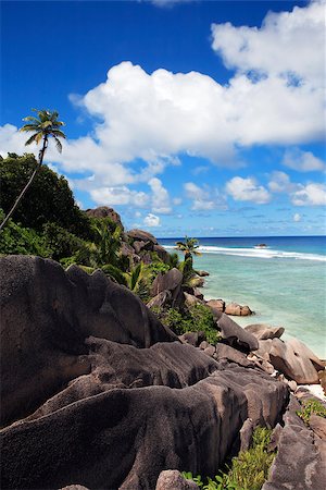 simsearch:851-02962649,k - anse source d'argent beach in la digue in seychelles island Stockbilder - Microstock & Abonnement, Bildnummer: 400-06746652