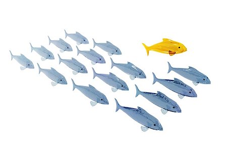 position afraid - Golden fish jumping out of normal fish rank, clipping path Photographie de stock - Aubaine LD & Abonnement, Code: 400-06746716