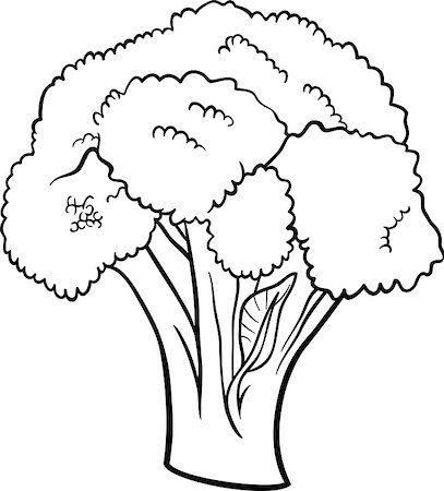 simsearch:400-06764427,k - Black and White Cartoon Illustration of Broccoli Vegetable Food Object for Coloring Book Stock Photo - Budget Royalty-Free & Subscription, Code: 400-06747747