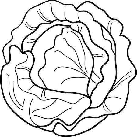 pic of cabbage for drawing - Black and White Cartoon Illustration of Cabbage or Lettuce for Coloring Book Stock Photo - Budget Royalty-Free & Subscription, Code: 400-06747748